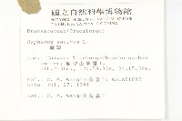 蘿蔔、夢卜藏品圖，第5張