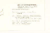 除蟲菊藏品圖，第2張