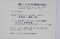 臺灣赤楊、臺灣榿木藏品圖，第2張