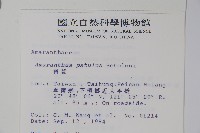 青莧藏品圖，第2張