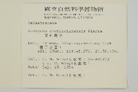 交趾衛矛藏品圖，第2張