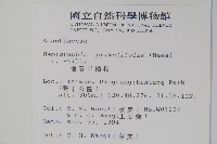 恆春半插花藏品圖，第2張