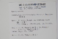 蘿芙木藏品圖，第2張