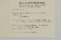 日本賽衛矛、日本假衛矛藏品圖，第2張
