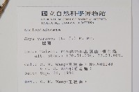 毬蘭藏品圖，第2張