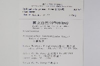 長穗馬藍藏品圖，第2張