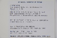 太平山冬青藏品圖，第2張