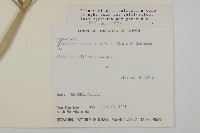 香澤蘭、飛機草藏品圖，第2張