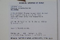 珊瑚樹藏品圖，第2張