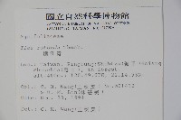 鐵冬青藏品圖，第2張