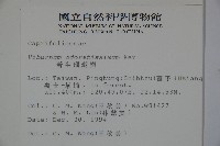 珊瑚樹藏品圖，第2張