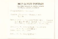 兔仔菜藏品圖，第2張