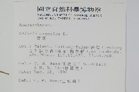 青葙藏品圖，第2張