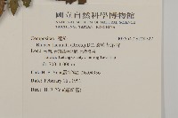 五掌楠藏品圖，第2張