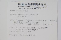 大花細辛、馬蹄香藏品圖，第2張