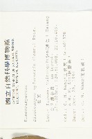 杜英、山杜英、蘭嶼杜英藏品圖，第2張