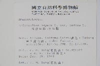 印度牛膝、土牛藤藏品圖，第2張