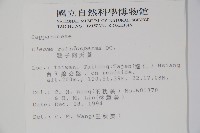 平伏莖白花菜、成功白花菜藏品圖，第2張