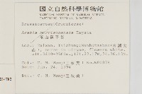 玉山筷子芥藏品圖，第2張