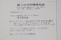 高山倒提壺藏品圖，第2張