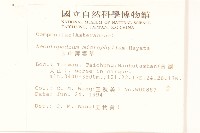 玉山薄雪草藏品圖，第2張