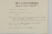 山艾藏品圖，第2張