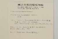 高山艾藏品圖，第2張