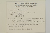 尼泊爾籟簫藏品圖，第2張