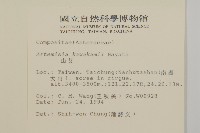 高山艾藏品圖，第2張