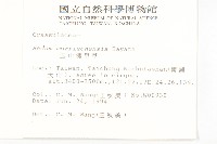 玉山佛甲草藏品圖，第2張