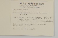 高山卷耳藏品圖，第2張