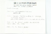 臺灣馬桑藏品圖，第2張