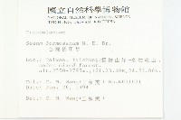 台灣佛甲草、石板菜藏品圖，第2張