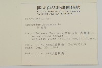 狗筋蔓藏品圖，第2張