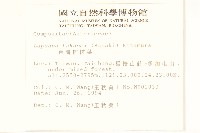 臺灣稻槎菜藏品圖，第2張