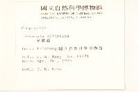 光耀藤藏品圖，第2張