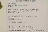 佩羅特木藏品圖，第2張