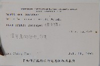 鐘萼木藏品圖，第2張