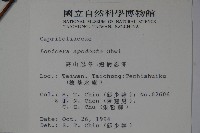 無梗忍冬藏品圖，第2張