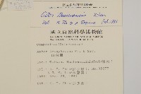 臺灣馬蘭藏品圖，第2張