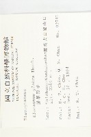 藤胡頹子藏品圖，第2張