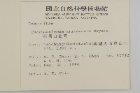 阿里山油菊藏品圖，第2張