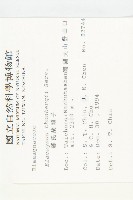 鄧氏胡頹子藏品圖，第2張