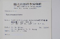 蟾蜍樹藏品圖，第2張