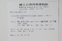 羊角藤、武靴藤藏品圖，第2張