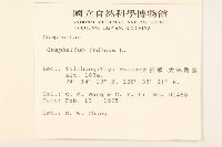 多莖鼠麴草藏品圖，第2張