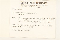 鼠麴舅藏品圖，第2張