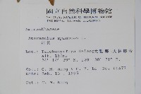 刺莧藏品圖，第2張