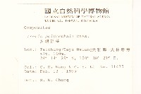 多頭苦菜、野剪刀股藏品圖，第2張