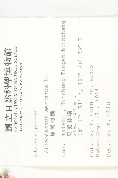 錫蘭橄欖、鋸葉杜英藏品圖，第2張